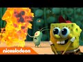 Kamp Koral Kisah Nyata Krabby Patty Nickelodeon Bahasa