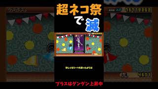 超ネコ祭で滅！＋はグングン上昇中＃にゃんこ大戦争＃超ネコ祭