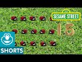 Sesame Street 15 Ladybugs In The Garden
