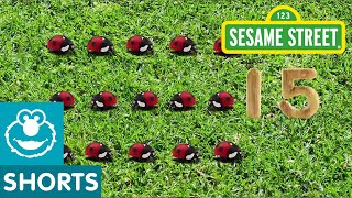 Sesame Street: 15 Ladybugs in the Garden