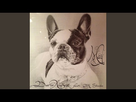 May (feat. Tony Shada)