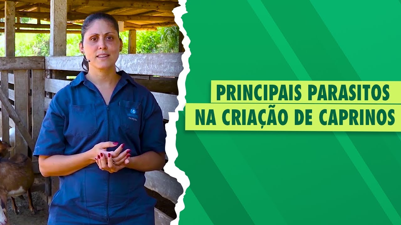 Parasitoses em Caprinos