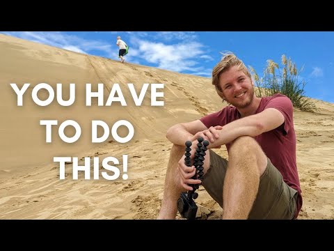 The Ultimate Northland Roadtrip, New Zealand | We saw glow worms!