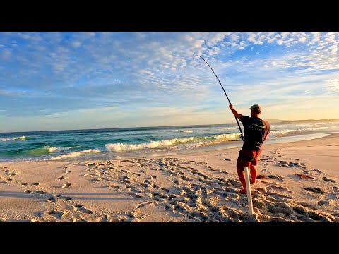 South Coast Beach Fishing The search for the elusive Mulloway