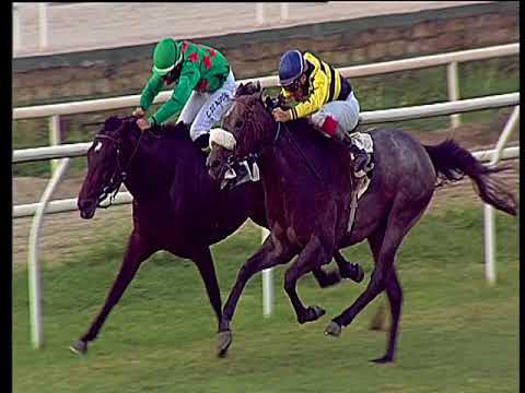 Galoppo 06/07/2018 - 4ª corsa - TRIS