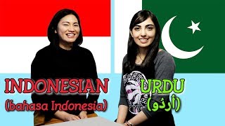 Download lagu Similarities Between Indonesian and Urdu mp3