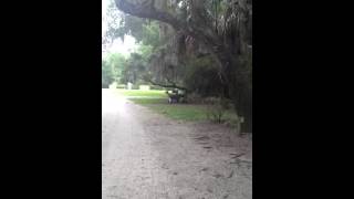 Target practice with Dickey Betts