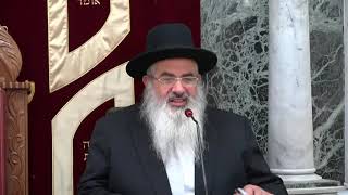 מרן הגאון רבנו יצחק יוסף שליט"א פרשת בהעלותך תש"פ הרב המקדים הרב דוד ברדוגו שליט"א