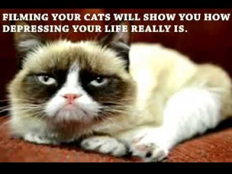 If Youtube Didn't Exist...