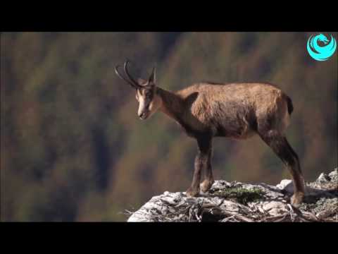 Parco Nazionale del Gran Sasso e Monti della Laga HD