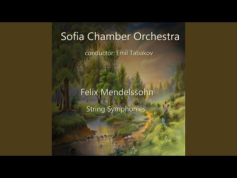 String Symphony No. 1 in C Major: 2. Andante