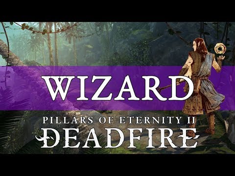 Pillars of Eternity 2 Deadfire Guide: Wizard
