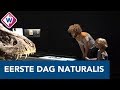 Grote drukte bij eerste dag: iedereen wil vernieuwd Naturalis zien - OMROEP WEST