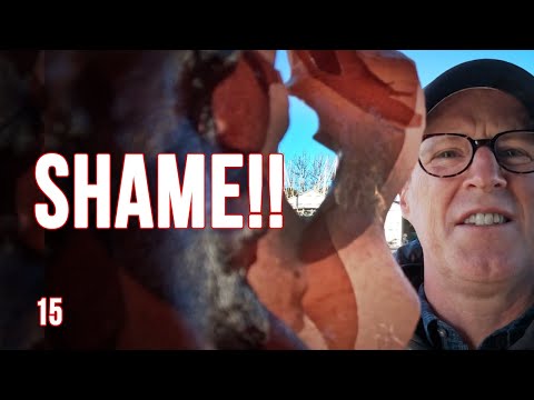 DISCOVERING SEA LIFE!!! Sailboat prep & hauling!! EP 15 #sailboatrefit