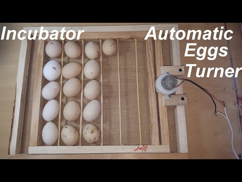 How to Make Automatic Eggs turner For Incubator - Eggs turning tray - Auto egg turner incubator