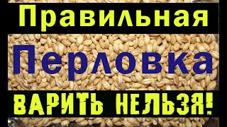 Как сварить перловку для прикормки карпа