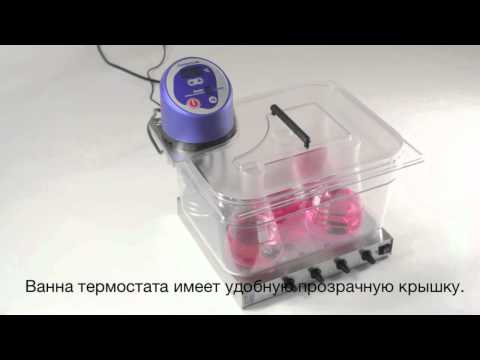 Видео на YouTube