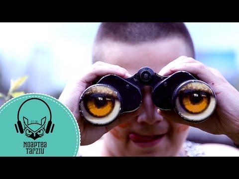 Noaptea Târziu - Dolofan | Official Video