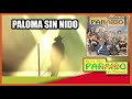 PALOMA SIN NIDO "Paraiso Tropical de Durango" | Música Duranguense