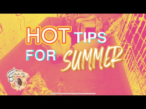 Hot Tips For Summer