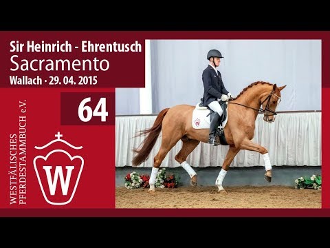 64 Sacramento Wallach v. Sir Heinrich - Ehrentusch