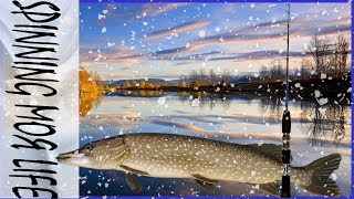 Где ловят щуку в кургане на открытую воду