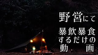 【キャンプ】初野営にて暴飲暴食するだけの動画