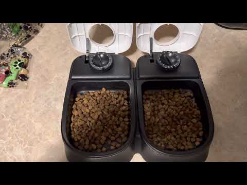 Pop-top Cat Food Timer Instructions