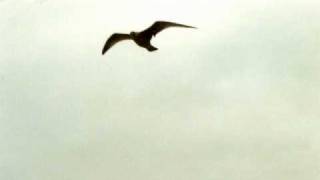 danny bryant - just as i am