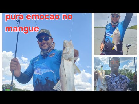 pescaria no mangue em sao francisco do conde. dicas de pesca robalo