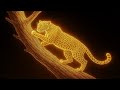 Ultra Realistic 3D Hologram Wildlife A New Way To See Nature