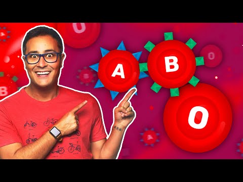 Genética do SISTEMA ABO | Prof. Paulo Jubilut