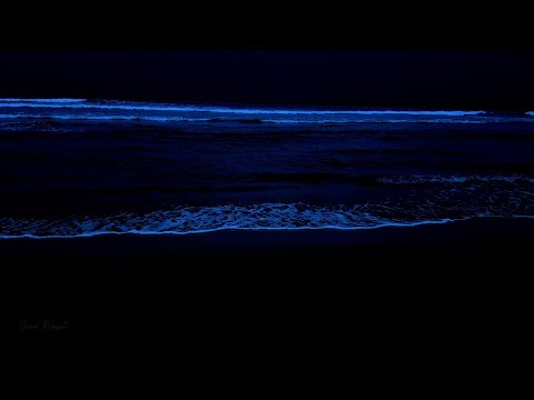 Sleep Fast Immediately within 3 Minutes with 48 Hours of Ocean Sounds on Beach at Night