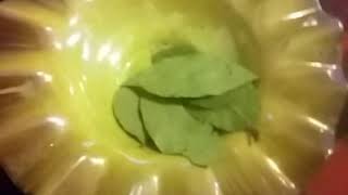 Burning Bay leaf. Anxiety relief!