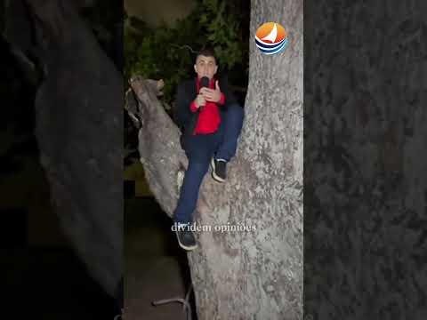 Macaco toca o terror em Viçosa/RN