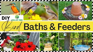 🟡 DIY OUTDOOR BIRD BATHS & FEEDERS | DOLLAR TREE DIY Easy Craft Ideas on a budget for BIRD LOVERS!