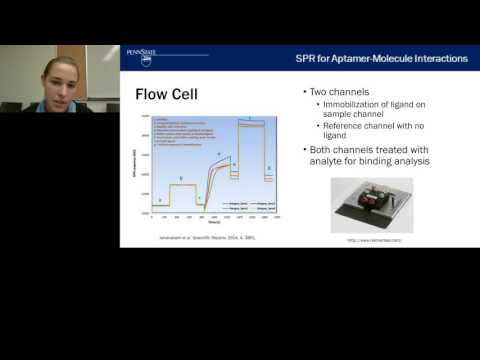 Erin Gaddes - SPR for Aptamer Based Molecular Interactions in Programmable Materials v2