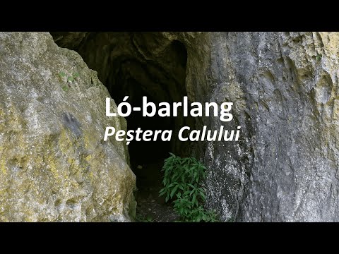 Ló-barlang/Peștera Calului | Királyerdő-hegység/Munții Pădurea Craiului, Erdélyi-szigethegység