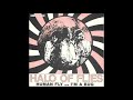 Halo Of Flies - Human Fly