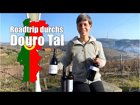 Traum-Route durch das Douro Tal - die älteste Weinregion der Welt | Roadtrip Portugal 4