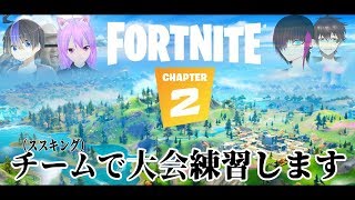 大会チームでfortniteやるわよ【Vtuber】