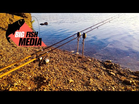 Karpfenangeln | das erste Mal am neuen Baggersee | plus Gewinnspiel