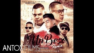 Un Beso Remix - Chencho Corleone, Maluma - Ft. Baby Rasta y Gringo, Maldy, Plan B (Official Video)