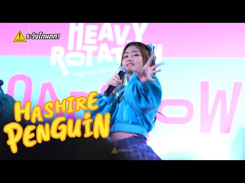[Fancam] Gygee BNK48 - Hashire Penguin @ Roadshow CentralPlaza Chaengwattana #ระวังโดนตก !