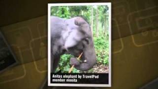 preview picture of video 'Mahout Training Monita's photos around Thai Elephant Conservation Centre, Thailand (slideshow)'