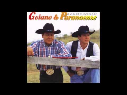 Goiano e paranaense                 brinquedo   quebrado