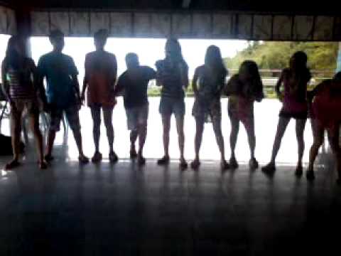 PLEMA (the GREEN team)