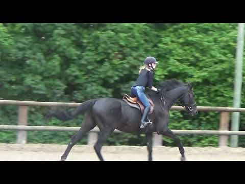 Clip n°5 : My Heart Knows Where To Go