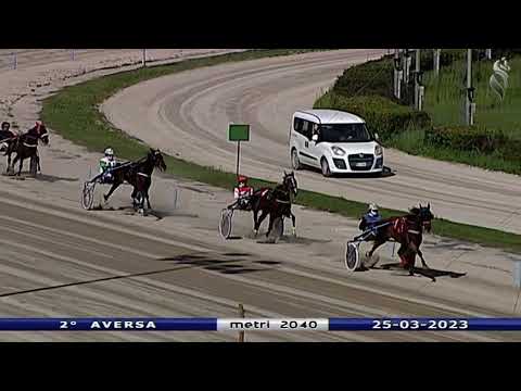 Aversa trotto 25 Marzo 2023 - 2° Corsa