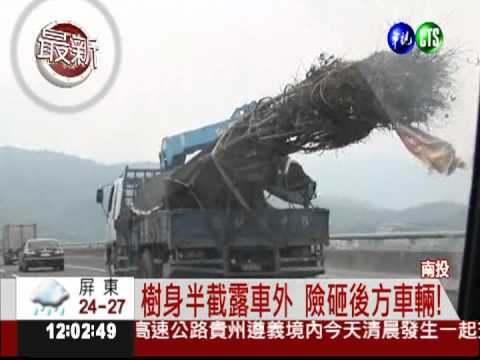貨車載大樹狂飆 後方車輛急閃!